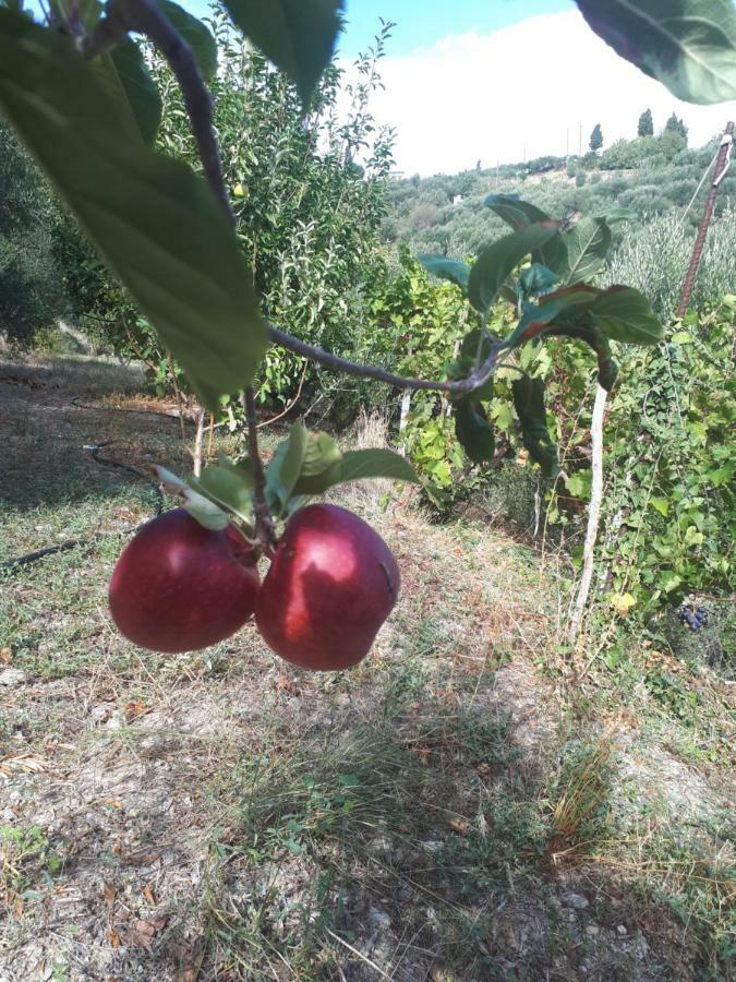Villa Irini - Cretan Luxury Villa With Amazing View Paraspori  ภายนอก รูปภาพ